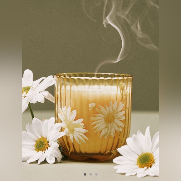 Anthropologie Birth Month Flower Boxed Candle, NIP - Picture 4 of 5